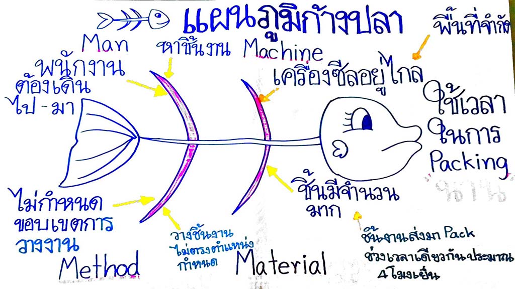 วิธีทำแผนภูมิก้างปลา (FISH-BONE DIAGRAM)